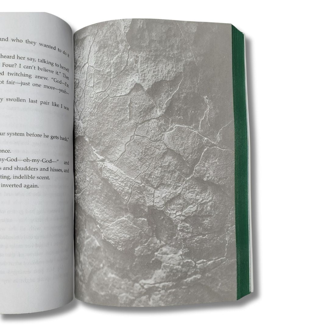 Guarded by the Spider (Signed Paperback) — additional view (image 2 of 12)