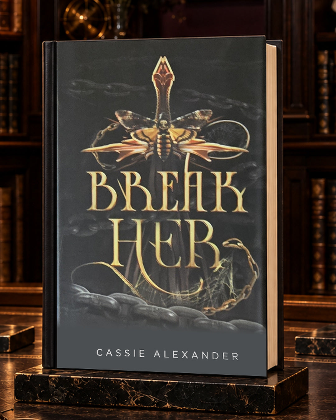 Break Her dust-jacket hardcover in a warm gilded library