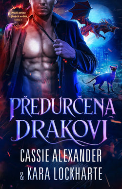 Předurčena drakovi Czech ebook cover