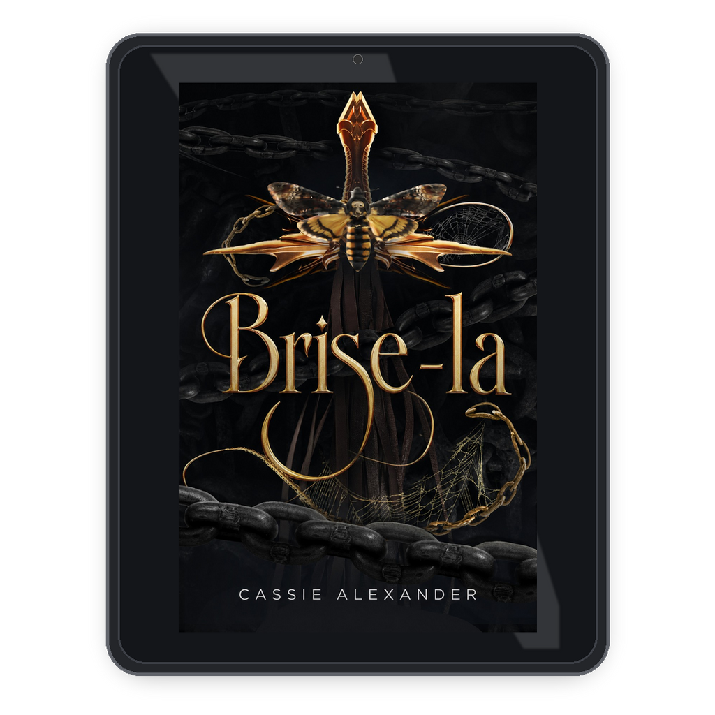 Break Her fr ebook mockup
