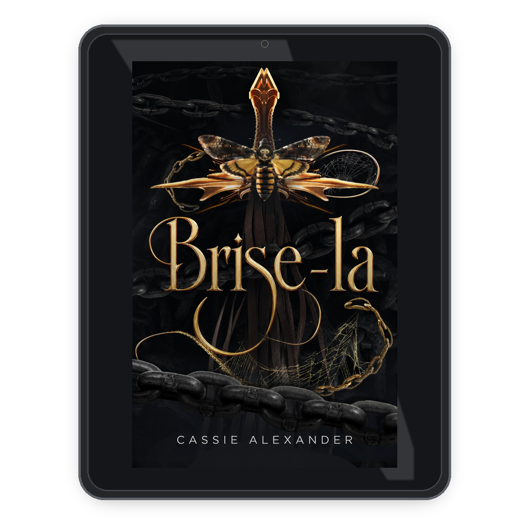 Break Her fr ebook mockup
