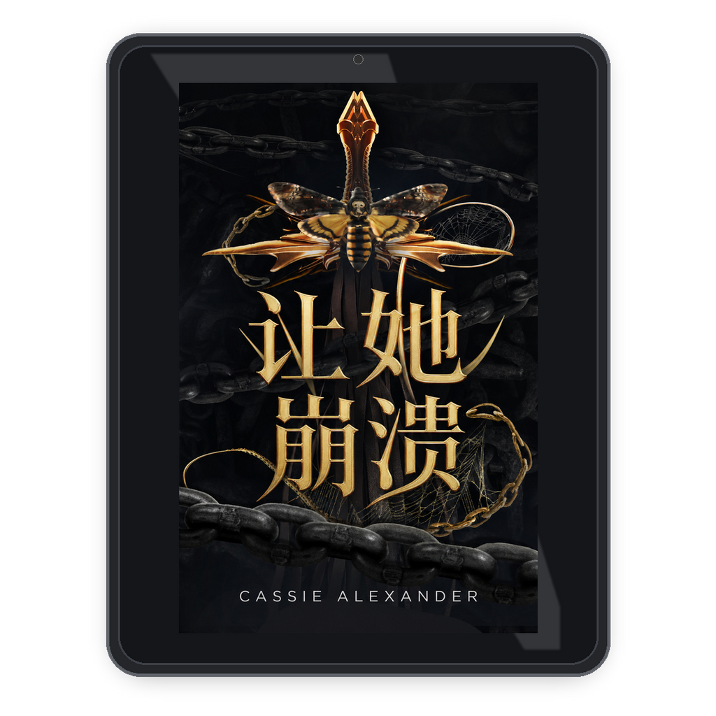 Break Her zh_cn ebook mockup