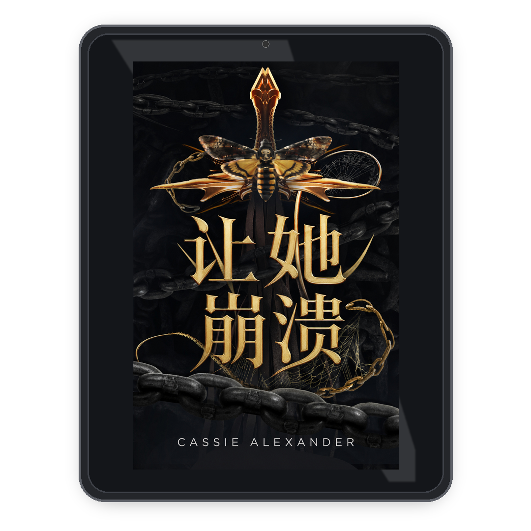 Break Her zh_cn ebook mockup